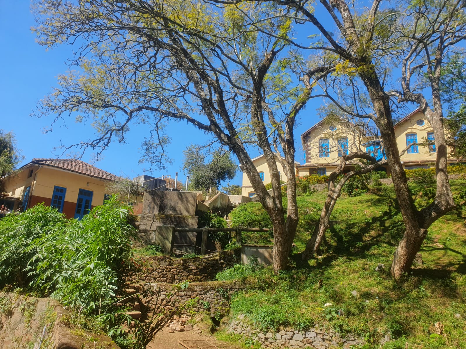 Coonoor Silverdale: Erwachsenwerden zwischen Bergen, Teeplantagen und Affen